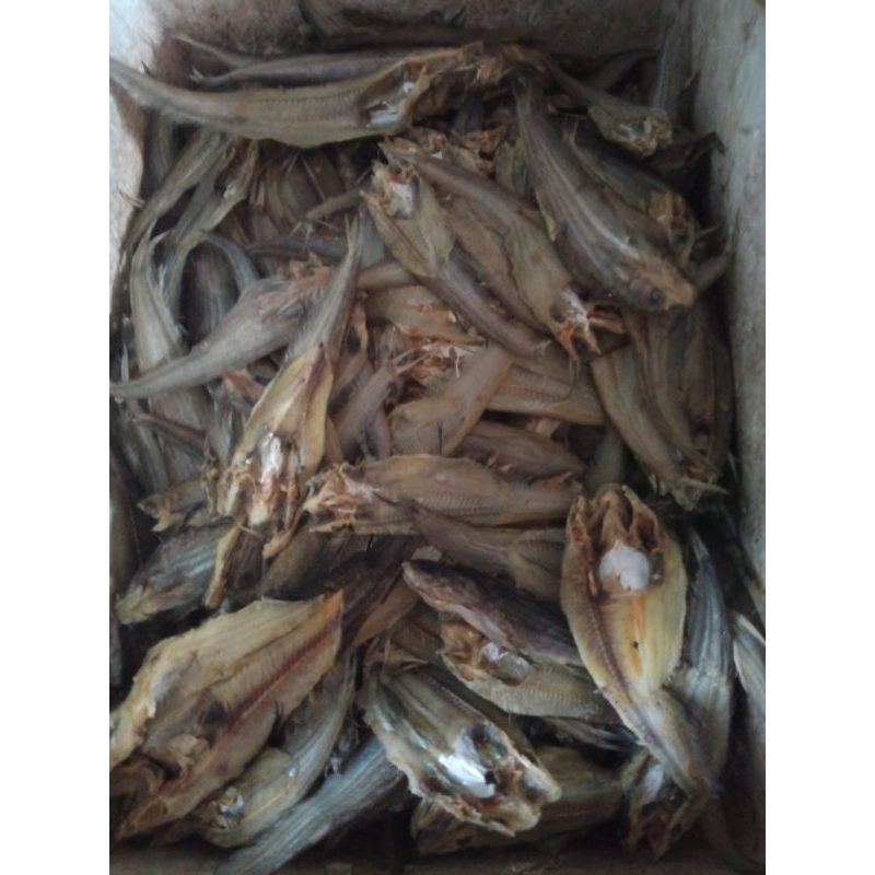 

ikan kering / ikan asin Lais kalimantan