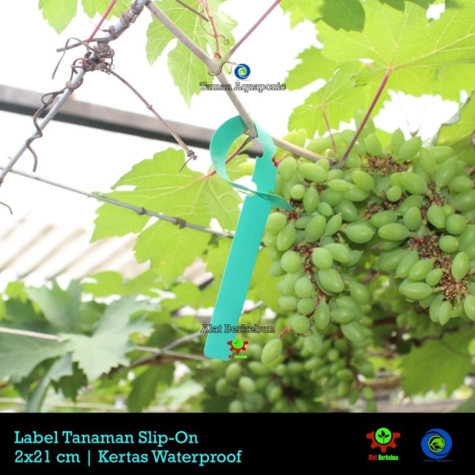 

MURAH MERIAH Label Tanaman Slip On Hijau 25 pcs