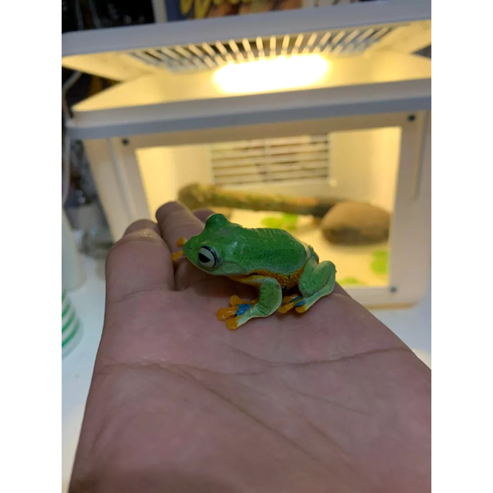 Kandan Box katak reptil iguana gecko pakai Lampu LED
