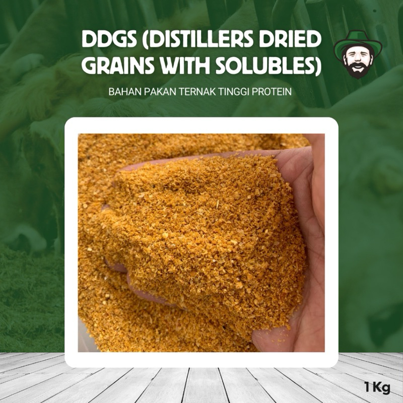 DDGS campuran pakan terbak dengan protein tinggi / Distillers Dried Grains with Solubles (DDGS)