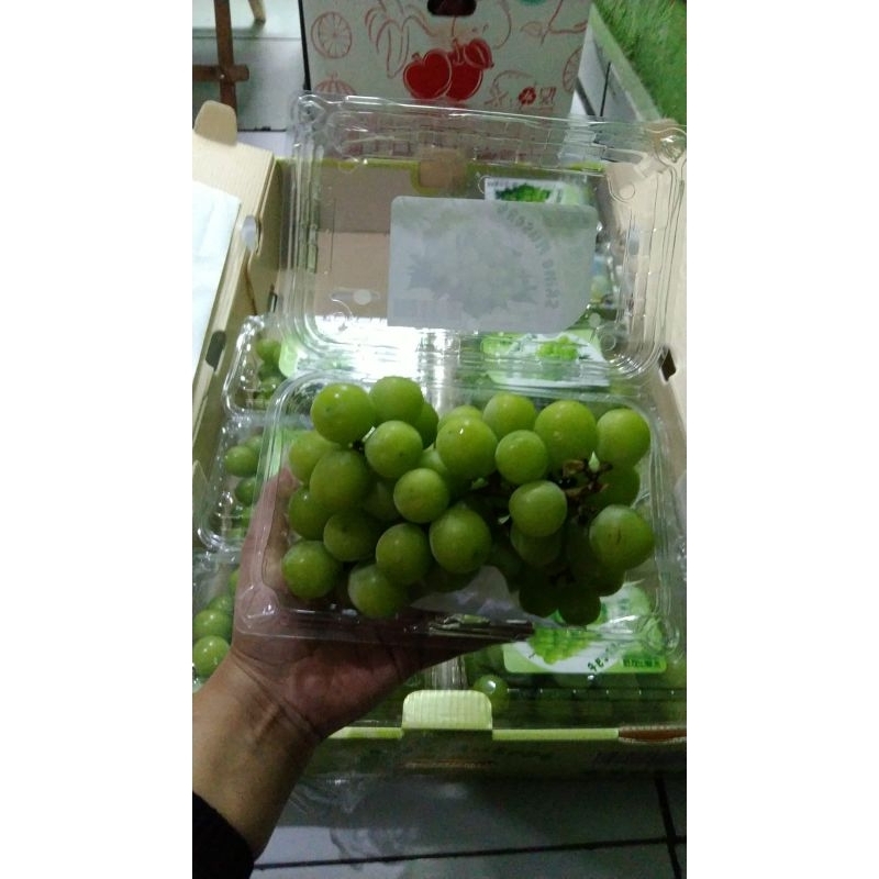 

Anggur shine muscat 500gr