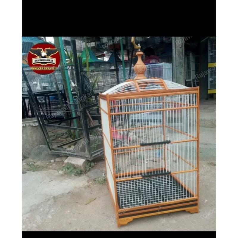 Sangkar kandang burung jalak Bali cucak Rowo solo pernis halus ruji fiber