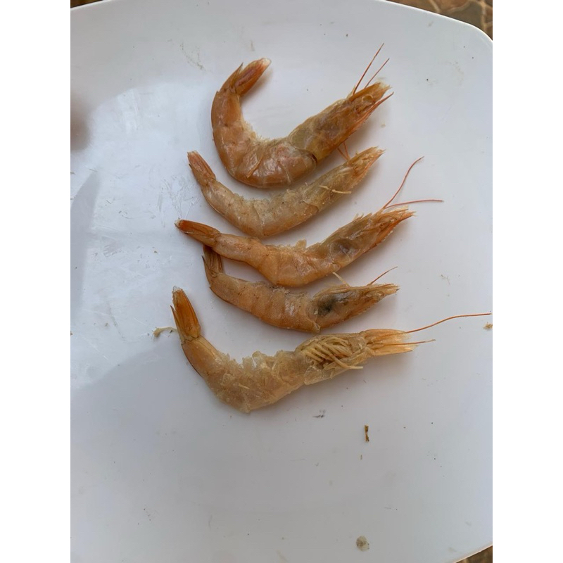 

ebi besar fresh = varian 250g/500g/1kg