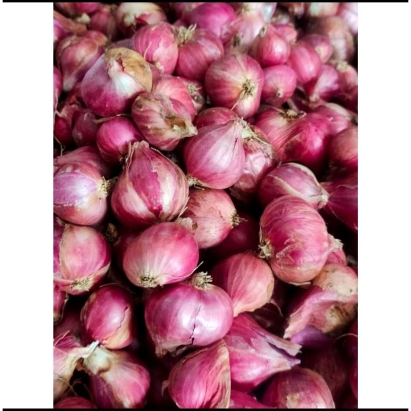 

bawang merah lokal 1kilo