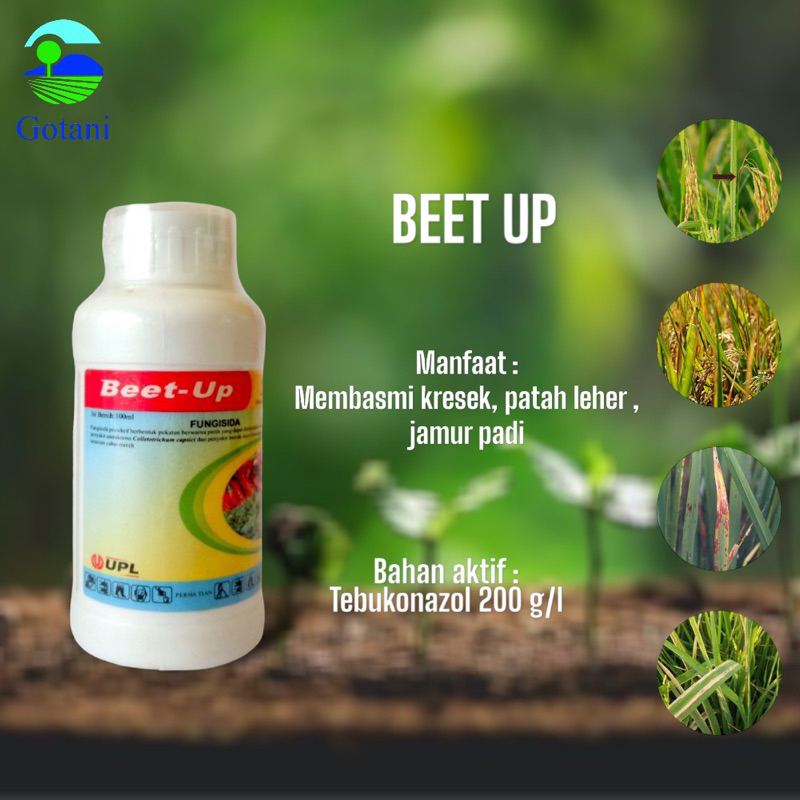 Beet Up 200 EC 100 ml ( Tebukonazol)