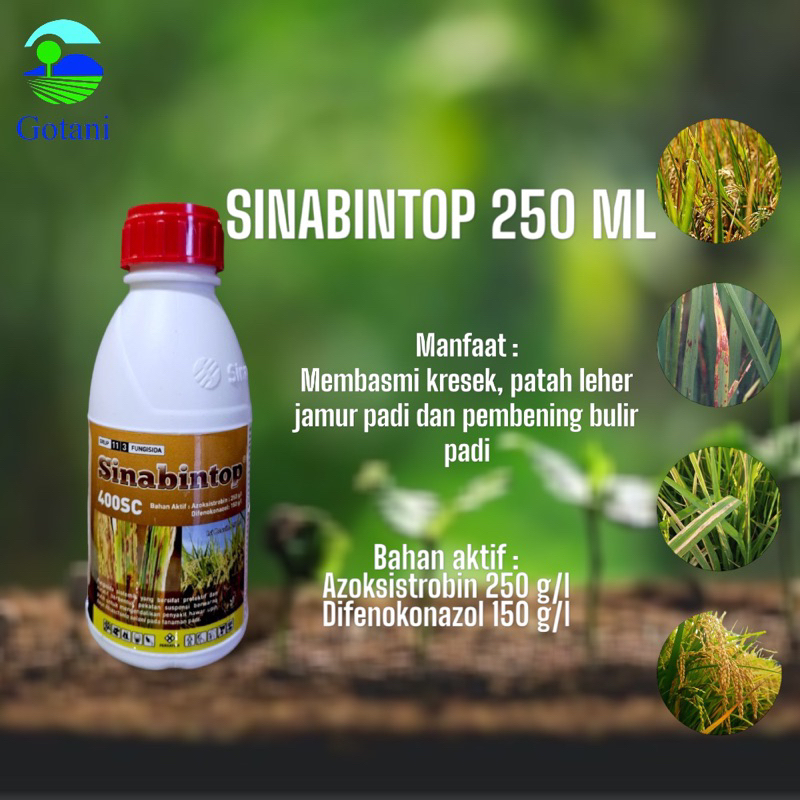 SINABINTOP 400 SC 250 ML (Azoksistrobin + Difenokonazol)