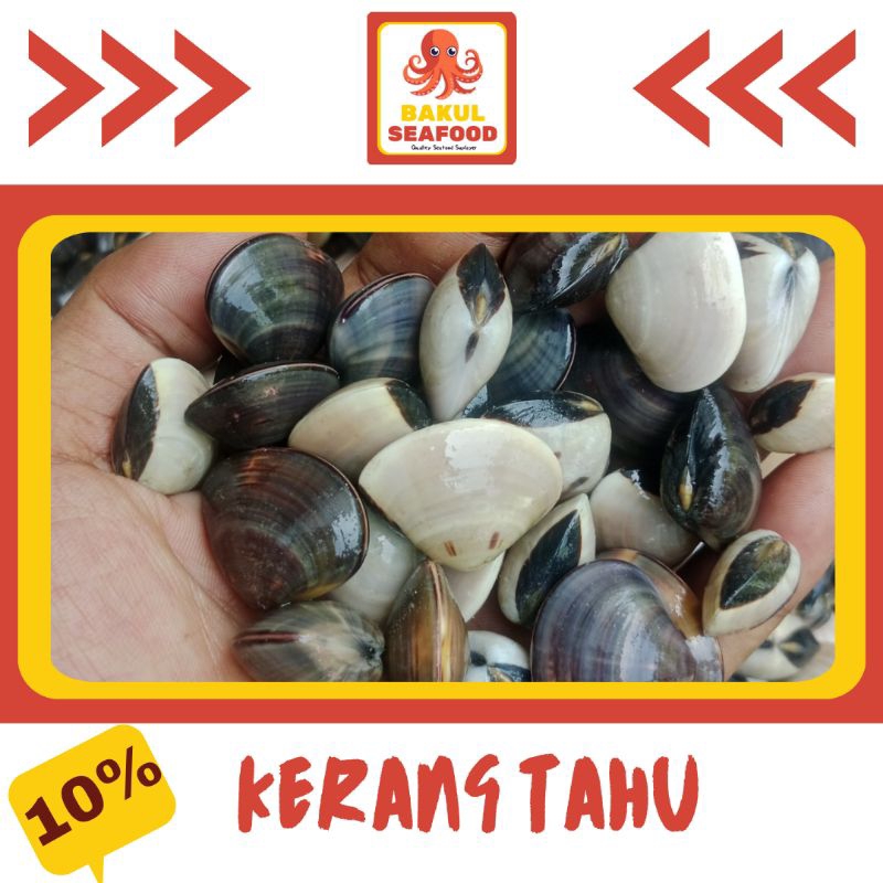 

KERANG TAHU 500GR - 1000GR