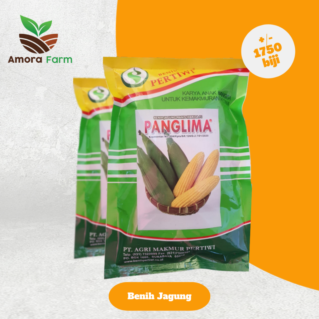 Bibit Benih Jagung Manis Panglima Pertiwi Isi 250gr (exp Februari 2025)