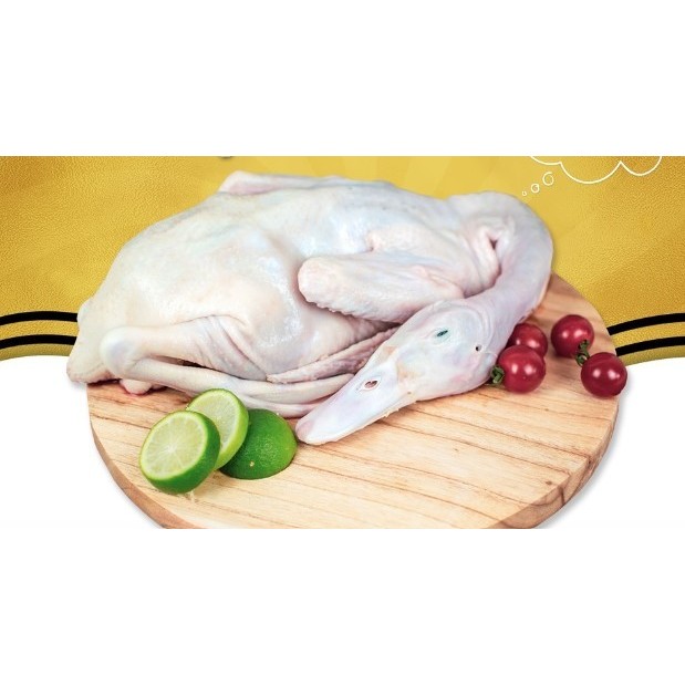 

BEBEK PEKING SEGAR HALAL BEBEK FROZEN DAGING MENTAH FRESH per EKOR