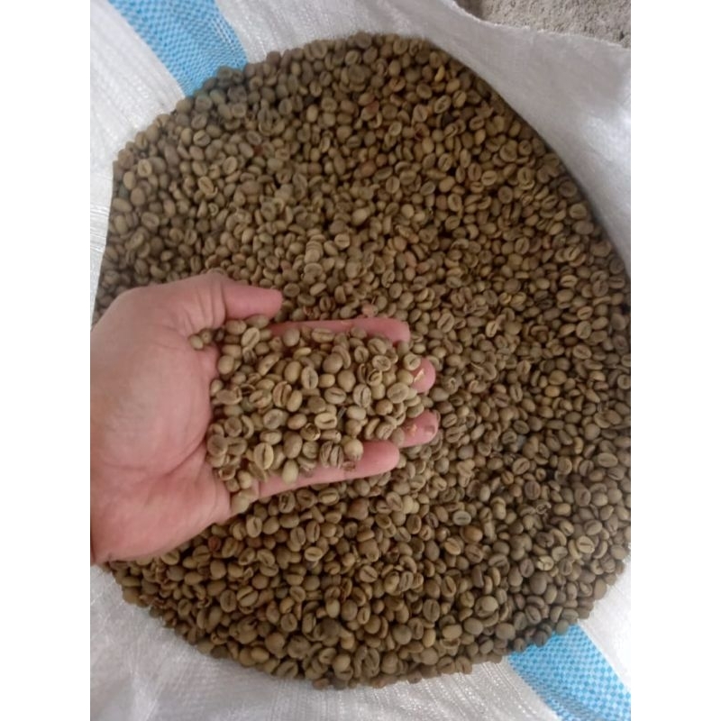 

Green Bean Robusta Temanggung 100% asli Grade 1.