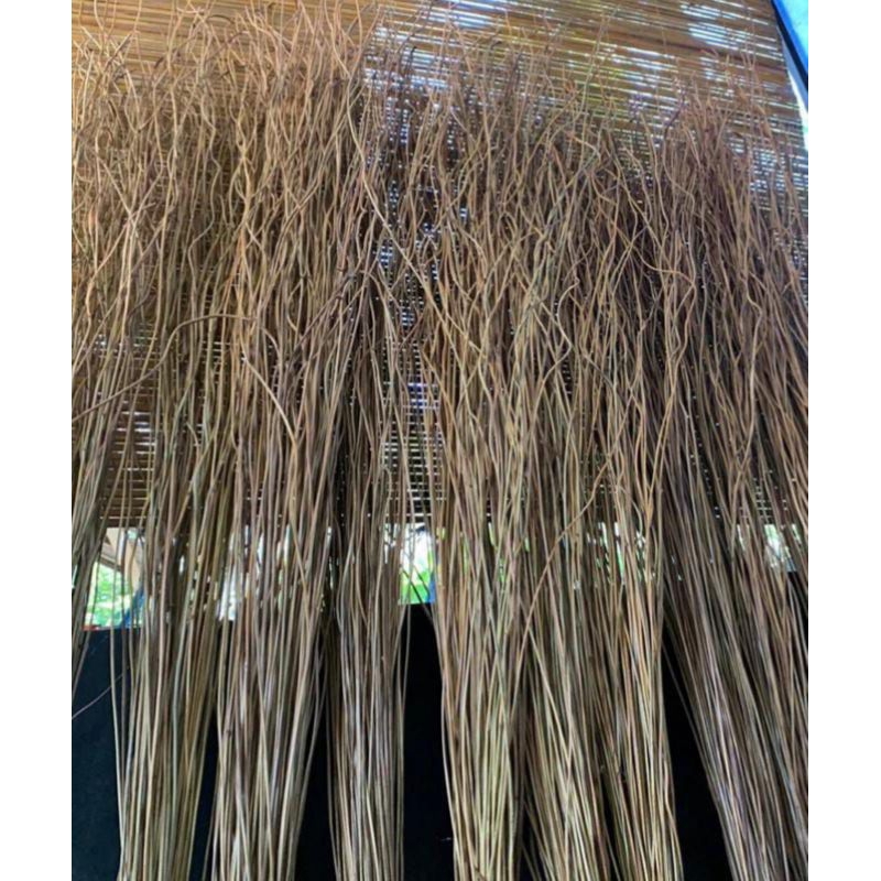 AKAR MANON AKAR RESAM DIJUAL 100 BTG