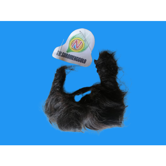 JENGGOT WAROK / WOK / BREWOK / KUMIS / JAMBANG / TARI / WAYANG / REOG PONOROGO