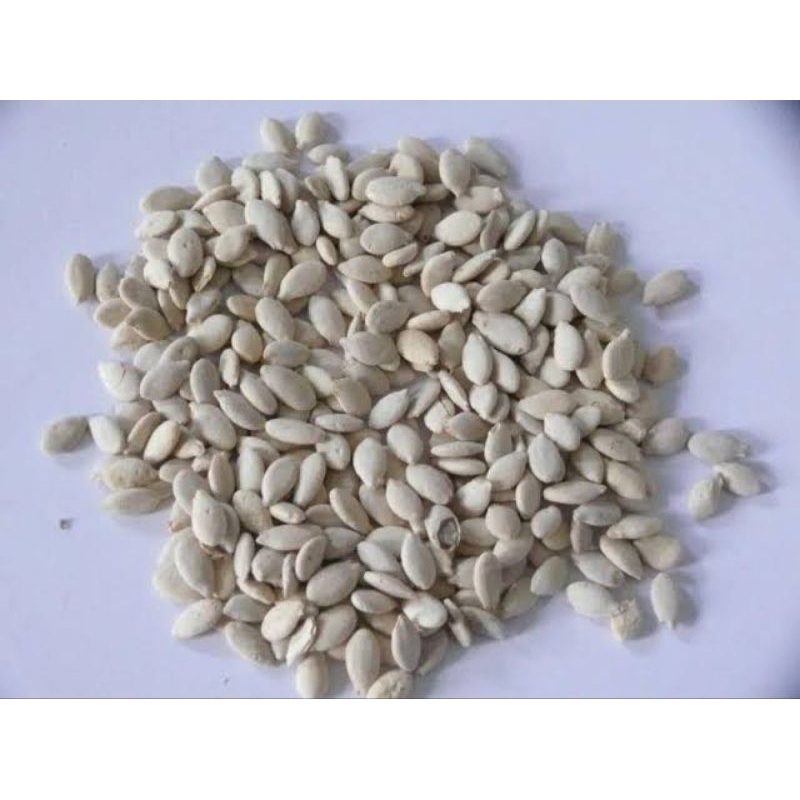 

10 G 50 GR 100 GRAM 冬瓜仁 DONG GUA REN WAXGOURD SEED SEMEN BENINCASAE