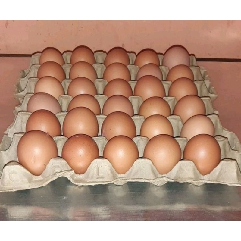 

Telur Ayam Negeri 1 Papan isi 30 Butir Segar (Langsung ambil dikandang)