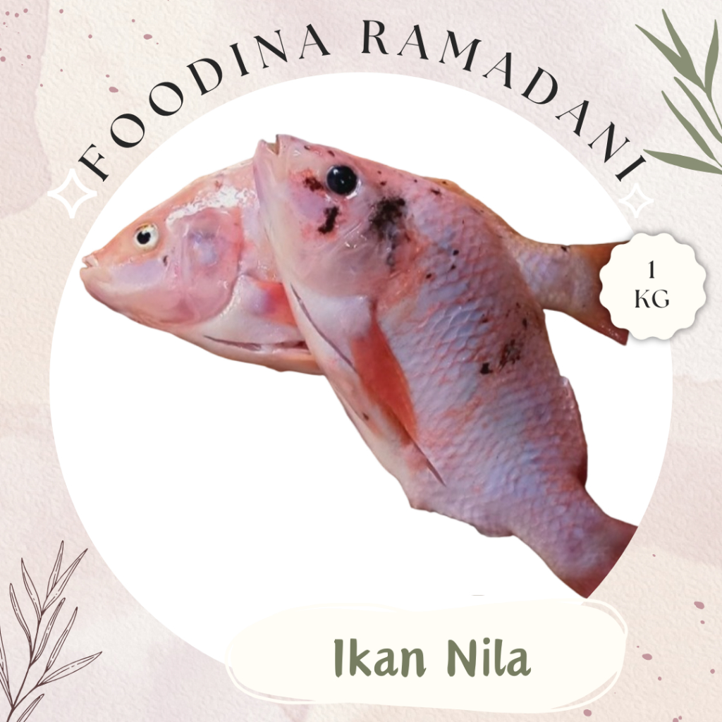 

IKAN NILA Merah - Tilapia Fish Fresh [ 1.000gr ] Harga Per KG