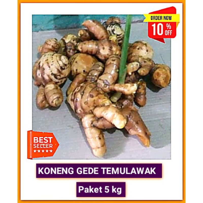 

Temulawak Fresh 5kg / KONENG GEDE SEGAR 5KG / Herbal