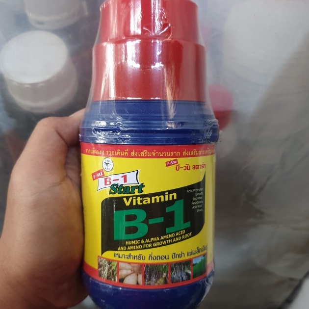 

B1 THAILAND 5ML JAMINAN LEBIH BAGUS DRI YG LOKAL