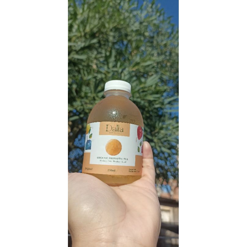 

Dalla kombucha Original