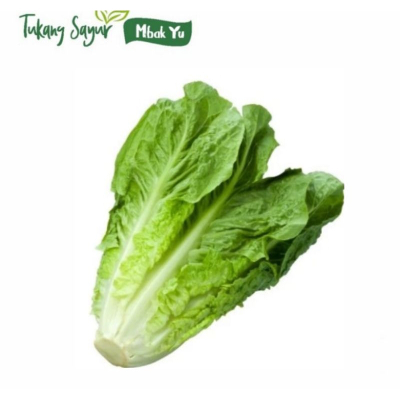 

selada romaine segar 250gr