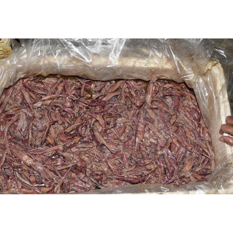 

CUMI ASIN JARUM PREMIUM TERMURAH 500 GRAM