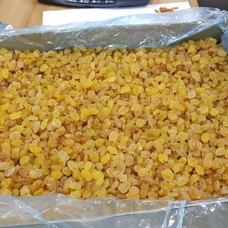 

Kismis Raisins Gold 1kg Premium Quality Anggur Kering Asem Manis