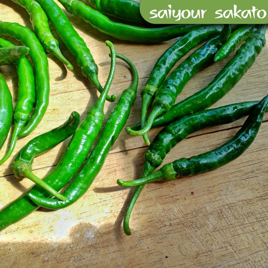 

Cabai Cabe Hijau Keriting 250 Gram- Saiyour Sakato