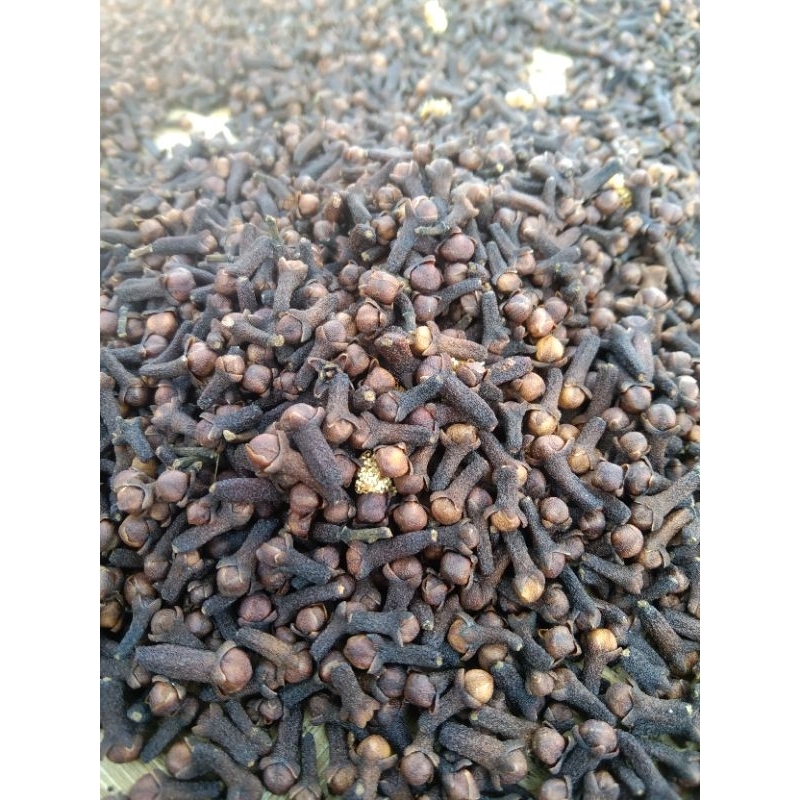 

CENGKEH KERING REMPAH ASLI