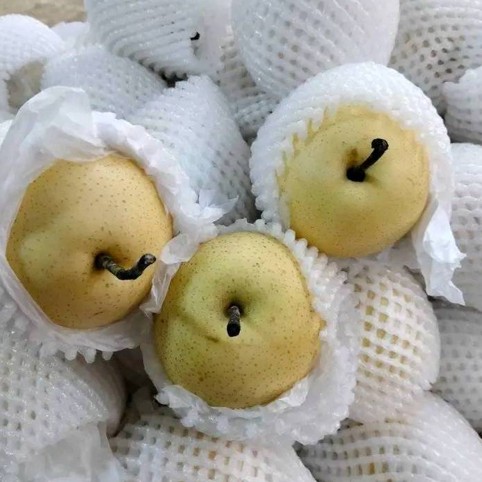 Buah Pir 1Kg