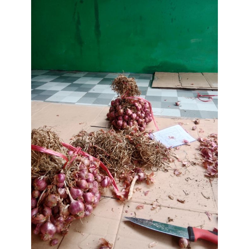 

bawang merah kota palu