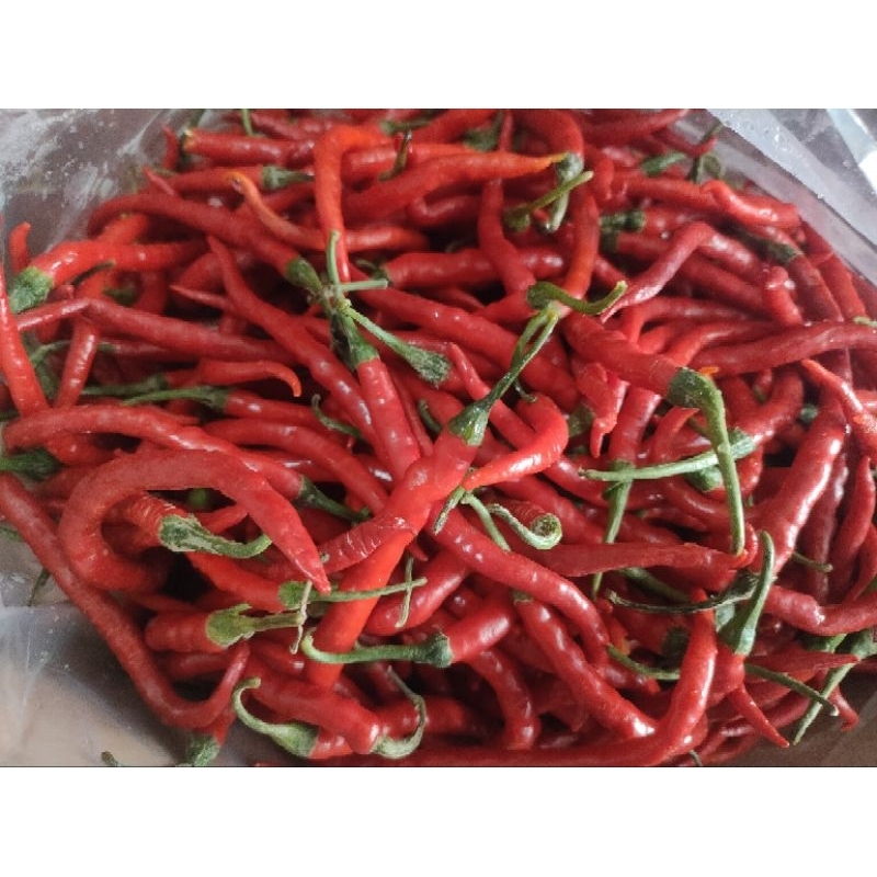 

Cabai Merah Keriting