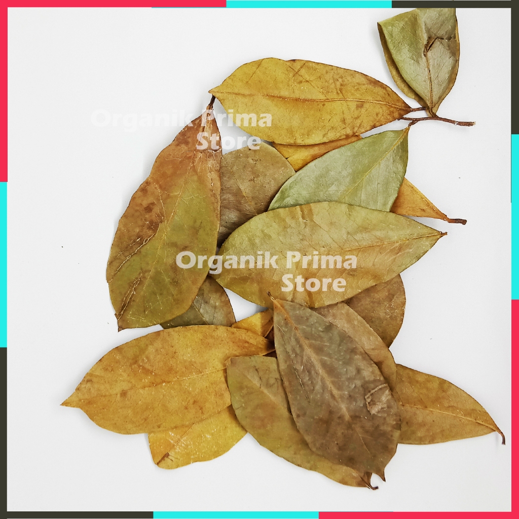 

Daun Sirsak Kering Bersih dan Organik