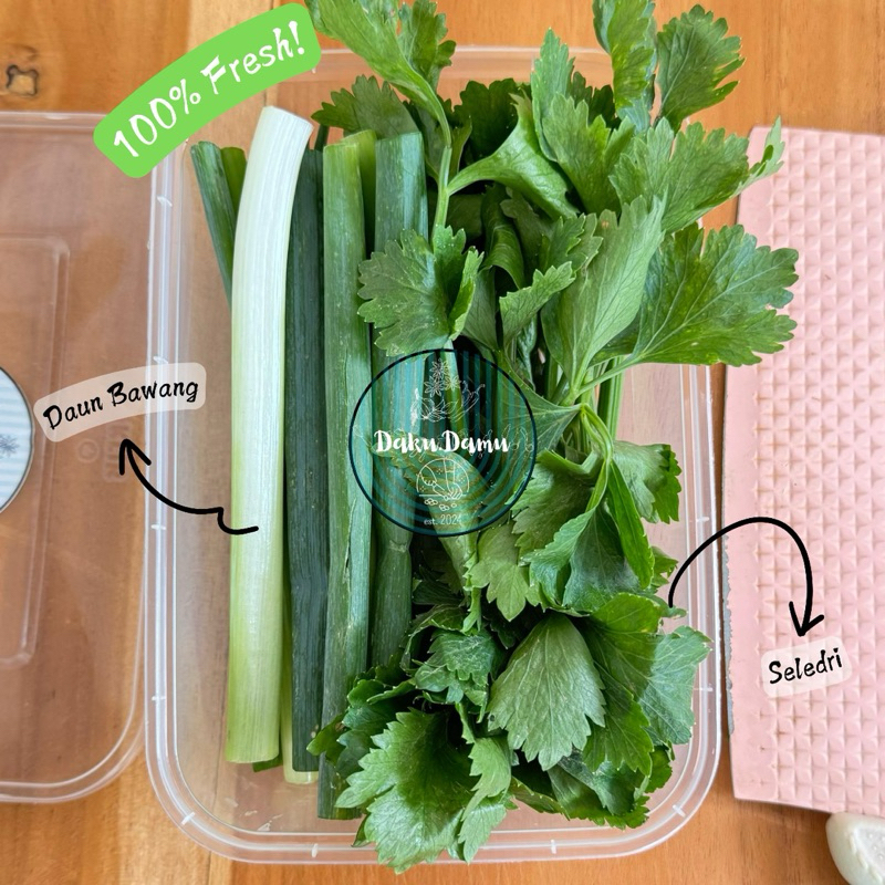 

KIRIM INSTANT/SAMEDAY Food Prep Daun Bawang dan Seledri - Daun Sop 100gr