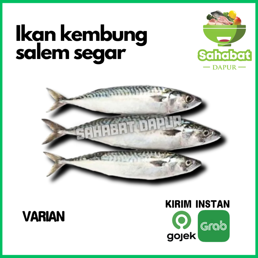 

Ikan Kembung Salem Segar - Sahabatdapur