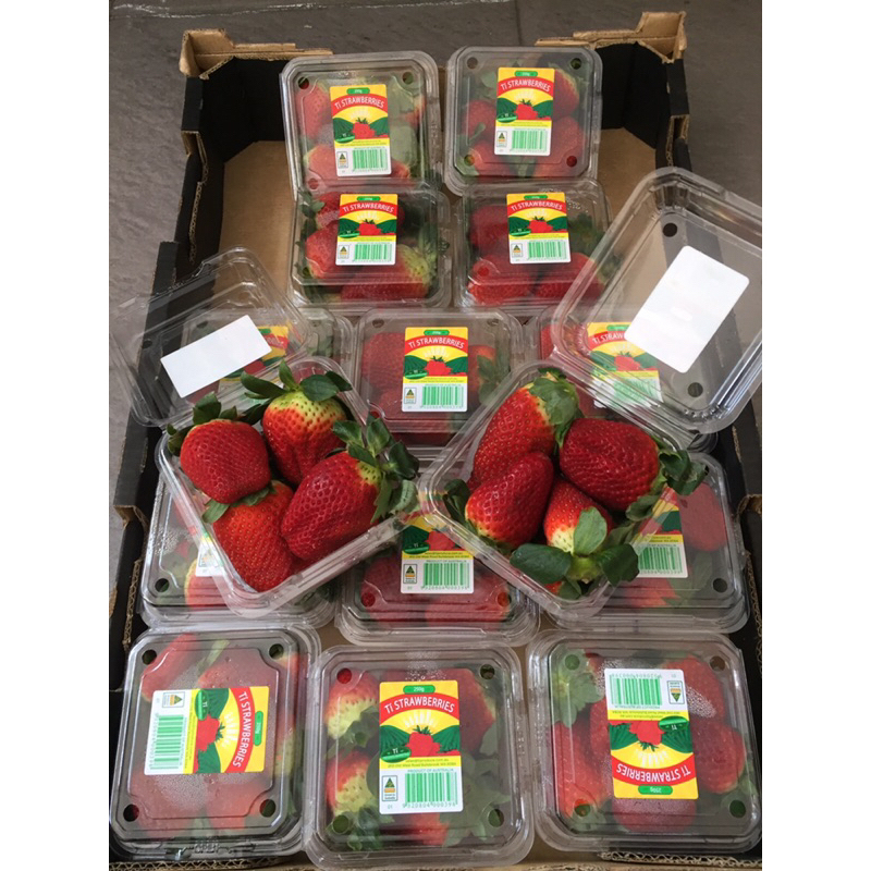 

Strawberry / Buah Strawberry Australia 1 Dus (15 Pack) Fresh Import