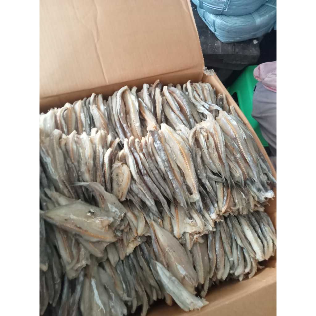 

Ikan Kering Palu-Palu Belah