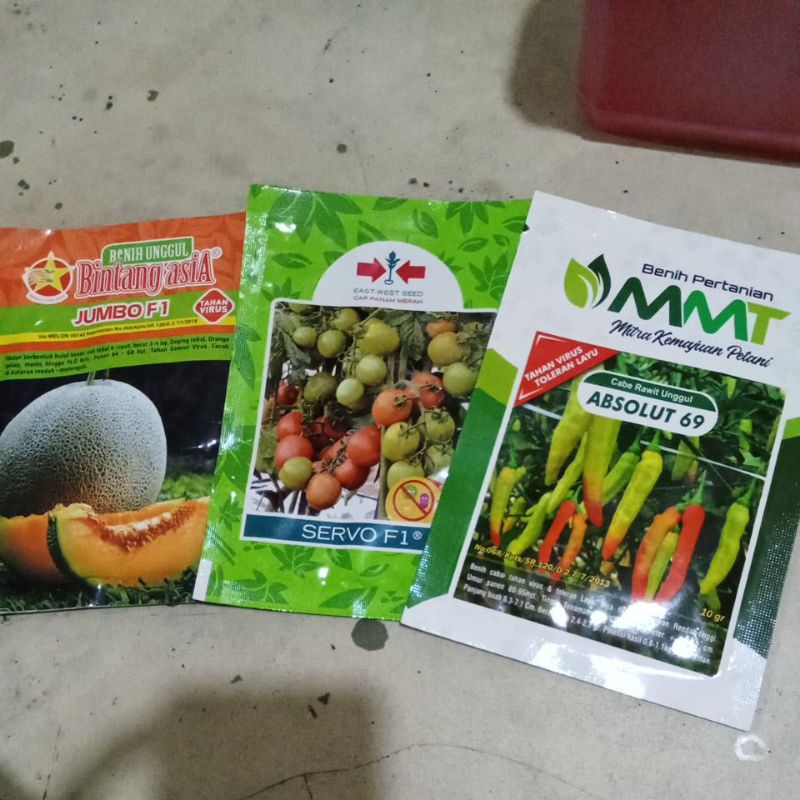 Benih Oyong Anggun F1 100butir