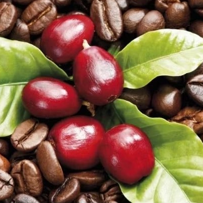 

200gram kopi bubuk hasil giling sendiri/kopi mantap/kopi tanpa bahan campuran