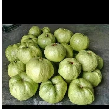 

jambu kristal manis cruncyy tanpa biji ,fresh /1kg