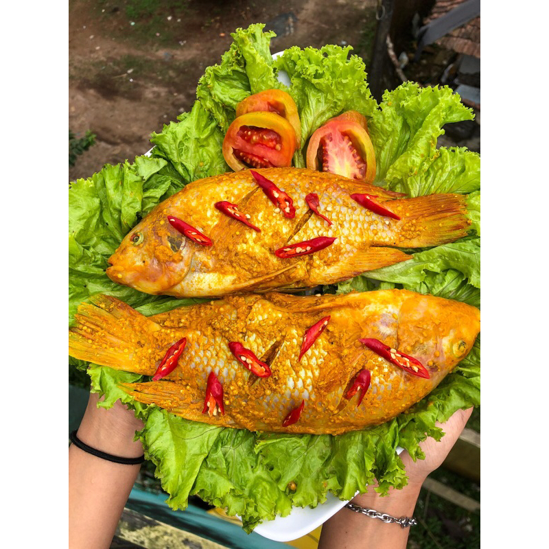 

Ikan Nila Frozen food ( Bumbu Kuning )