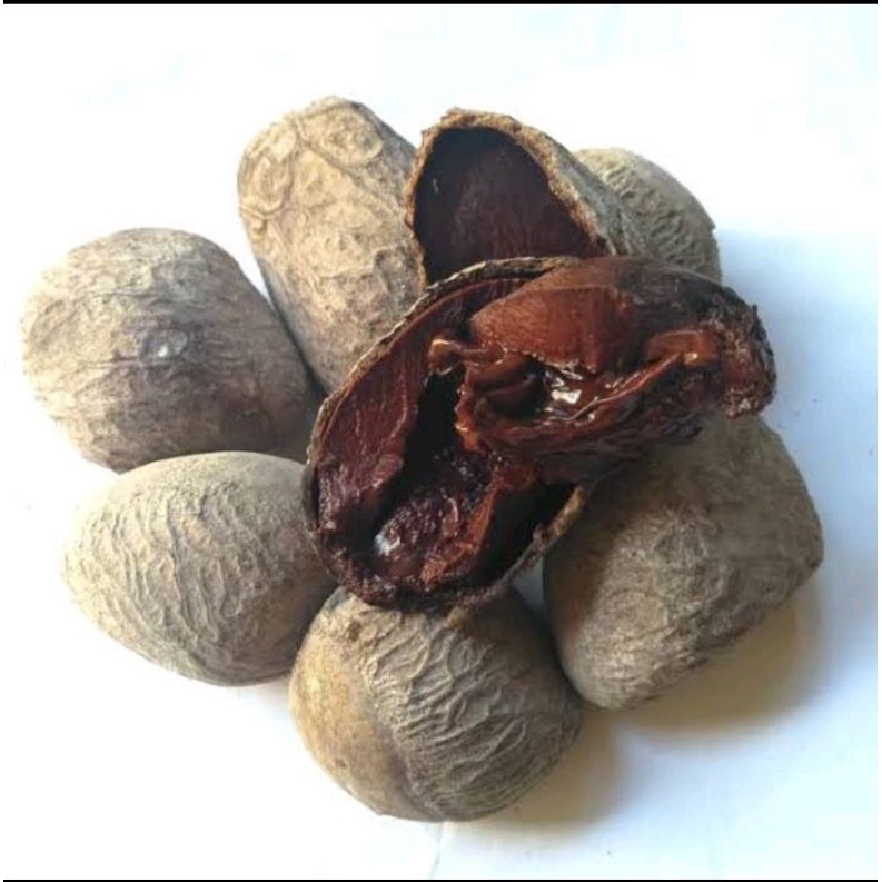 

Kluwek Kepucung Segar Murah Organik 1 Kg