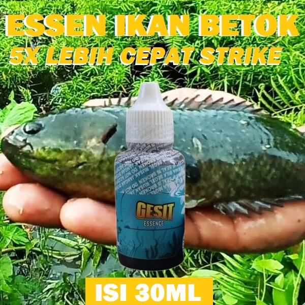 GESIT ESSEN IKAN BETOK BABON BESAR SIAP PAKAI ISI 30ML