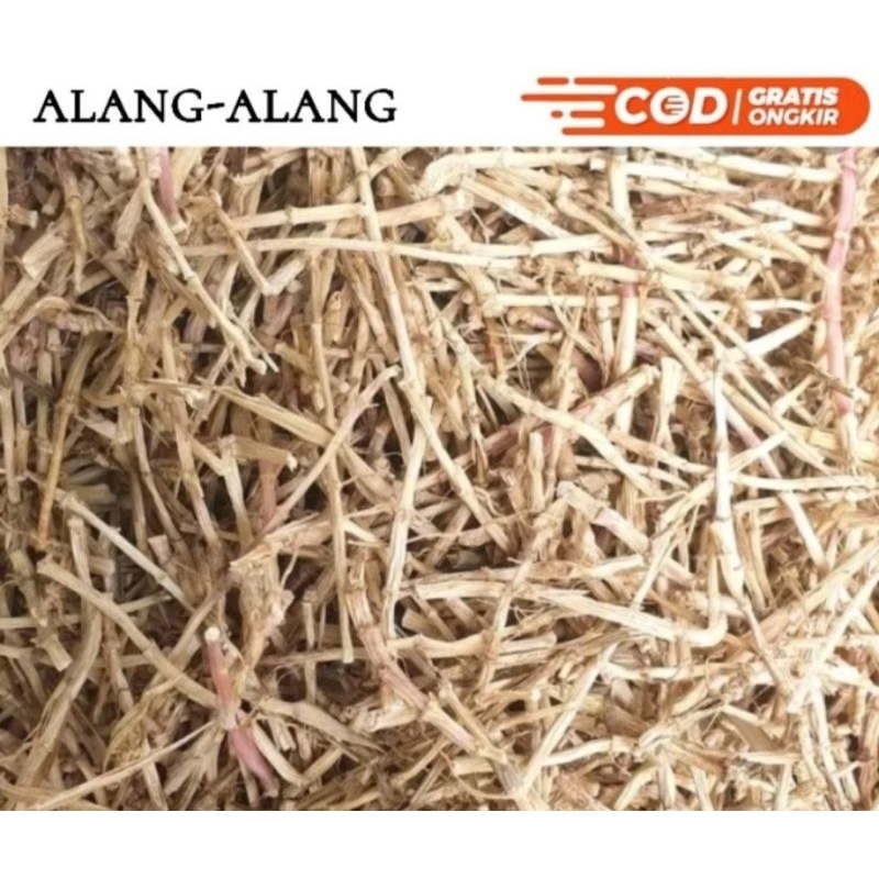 

AKAR ALANG ALANG KERING ALANG2 HERBAL ALAMI