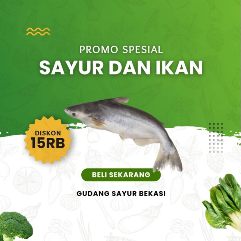

Ikan Patin 500 gr