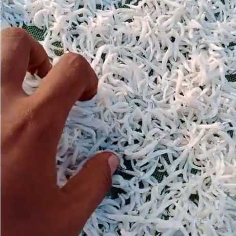 

Teri medan rebus kering / teri nasi super kering kualitas super rasa tidak terlalu asin empuk