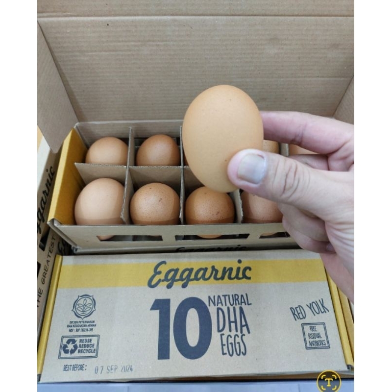 

TELUR OMEGA 3 ORGANIC EGGARNIC KEMASAN ISI 10 PER PACK