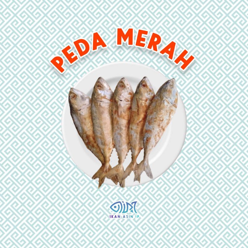 

IKAN ASIN PEDA MERAH SUPER