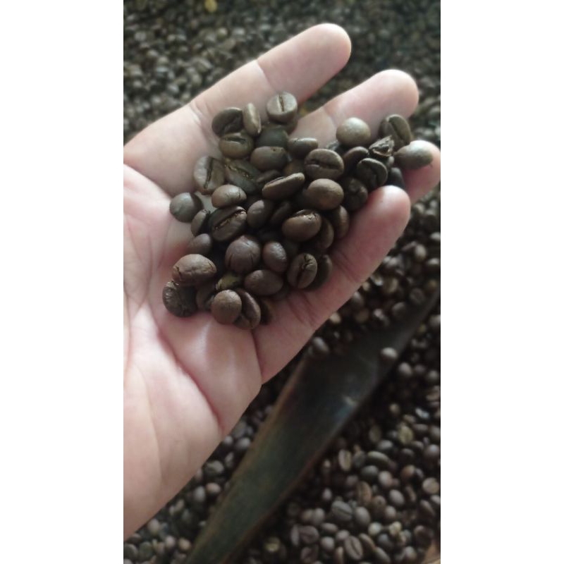 

kopi Roastbean robusta