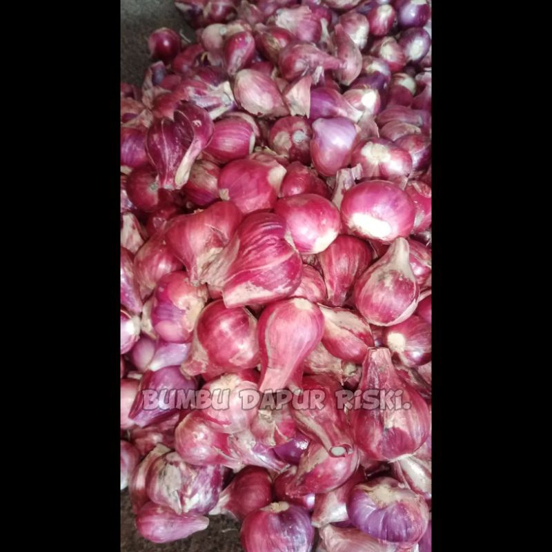 

Bawang Merah Brebes ASLI SUPER