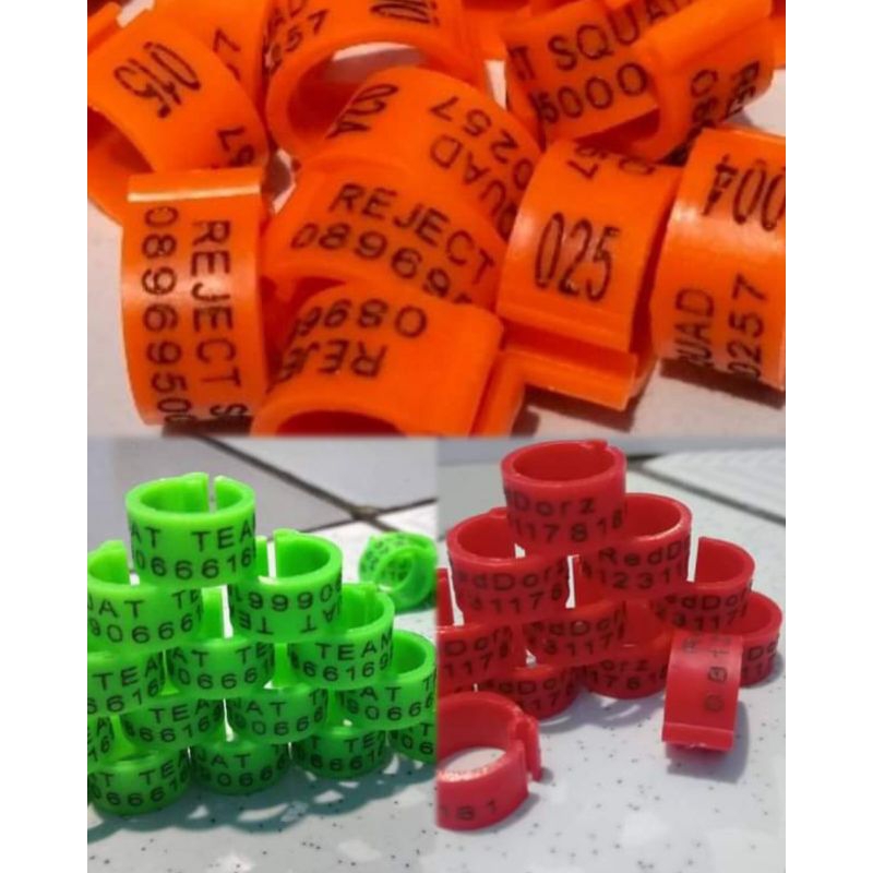 ring merpati dewasa klip bisa cetak nama isi 10 biji