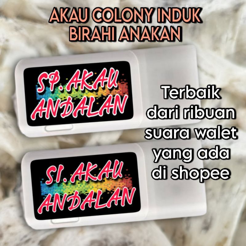 Suara Walet AKAU ANDALAN, Suara Walet Colony induk birahi anakan, Suara Walet Legendaris